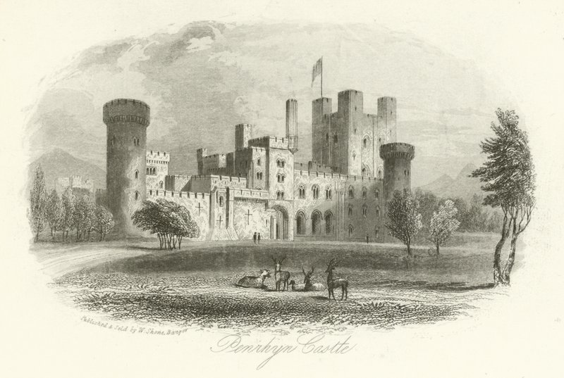 Penrhyn Castle, Llandygai, Wales av English School