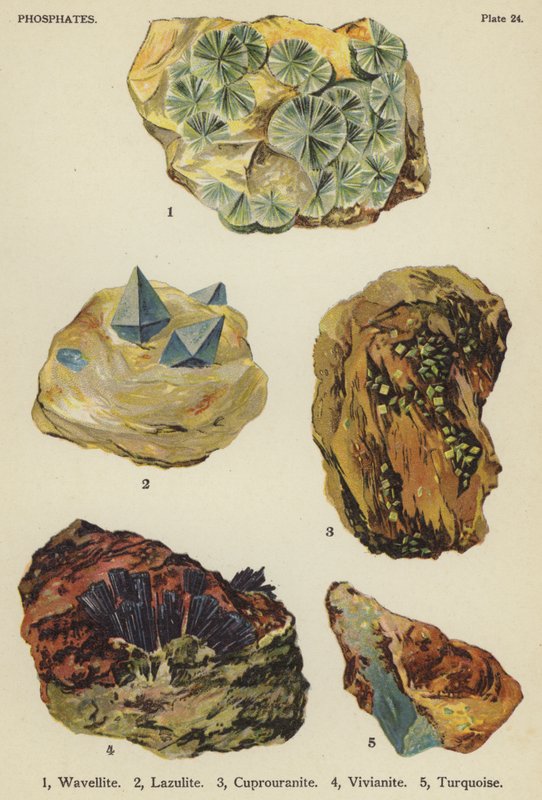 Fosfater, wavellitt, lazulitt, cuprouranite, vivianitt, turkis (farge litho) av English School