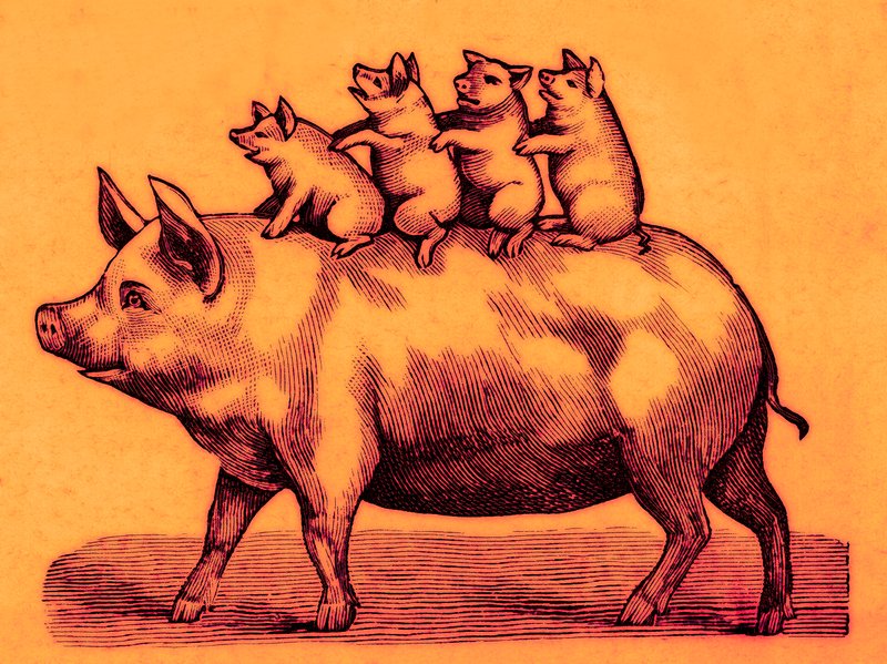 Gris med smågrisene sine, illustrasjon fra Coles Funny Picture Book (digitalt forbedret bilde) av English School