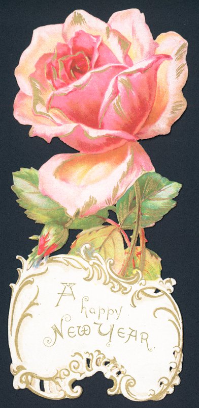 Rosa rose, nyttårskort av English School