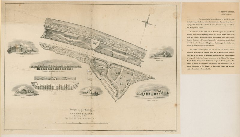 Plan for Zoological Gardens, Regents Park, 1827 av English School
