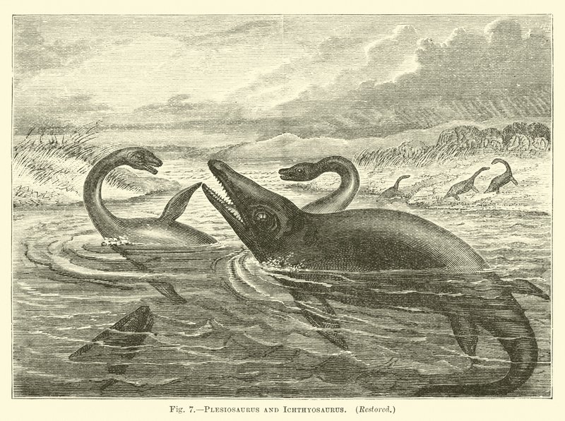 Plesiosaurus og Ichthyosaurus av English School
