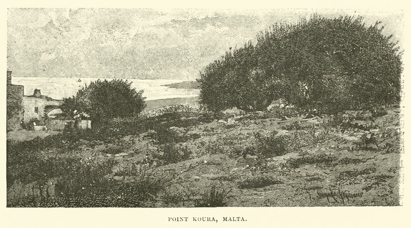 Point Koura, Malta av English School