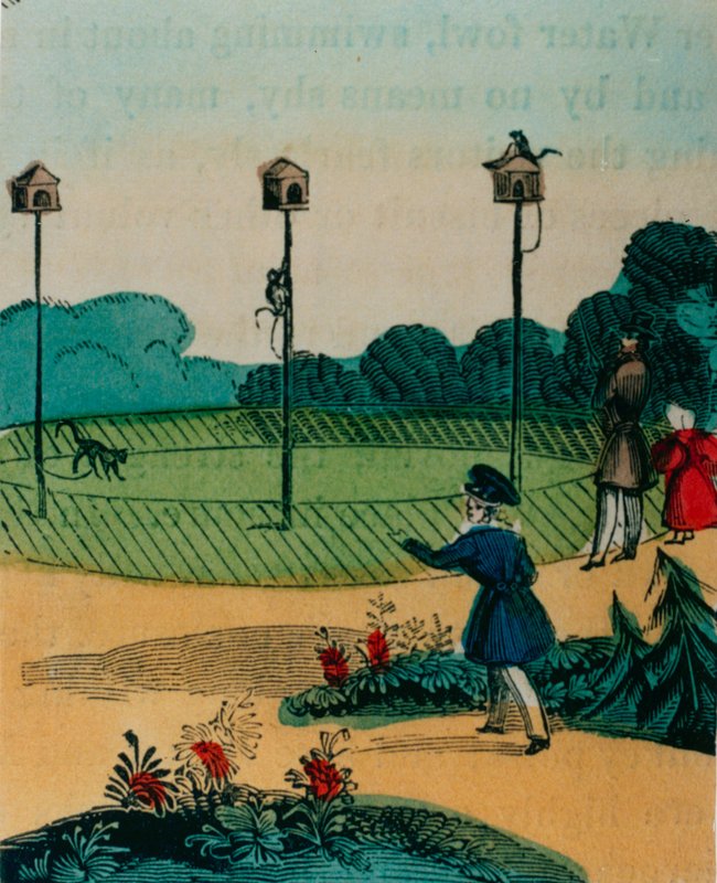 Stolper som aper ble lenket til om sommeren som apekatter på en pinneleke. 1840-årene av English School