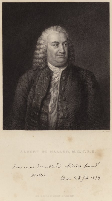 Portrett av Albert de Haller av English School