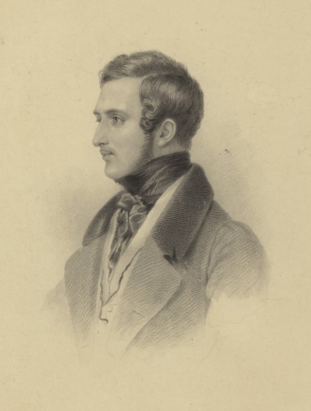 Portrett av Albert, Prinsgemalen av English School