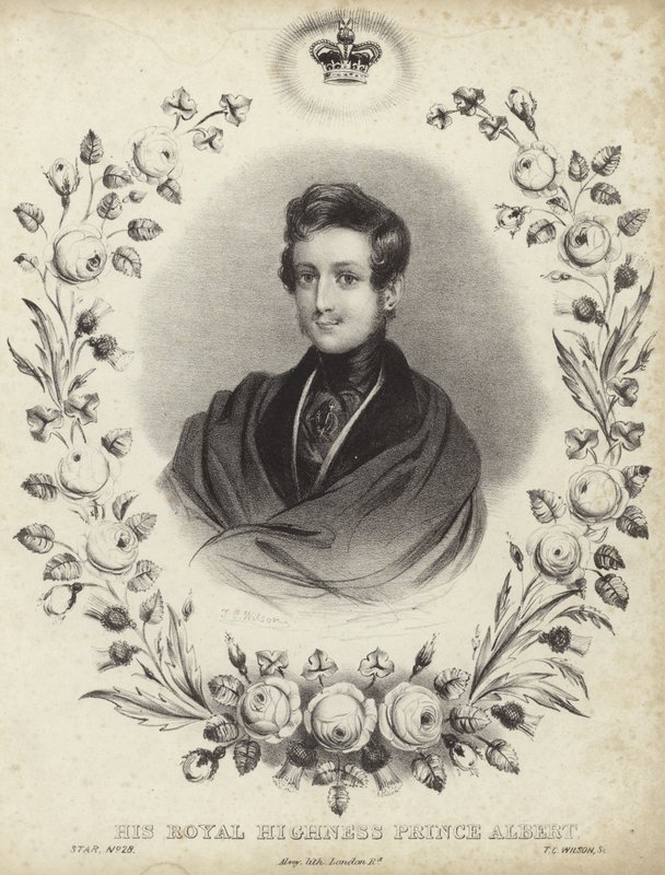 Portrett av Albert, Prinsgemalen av English School