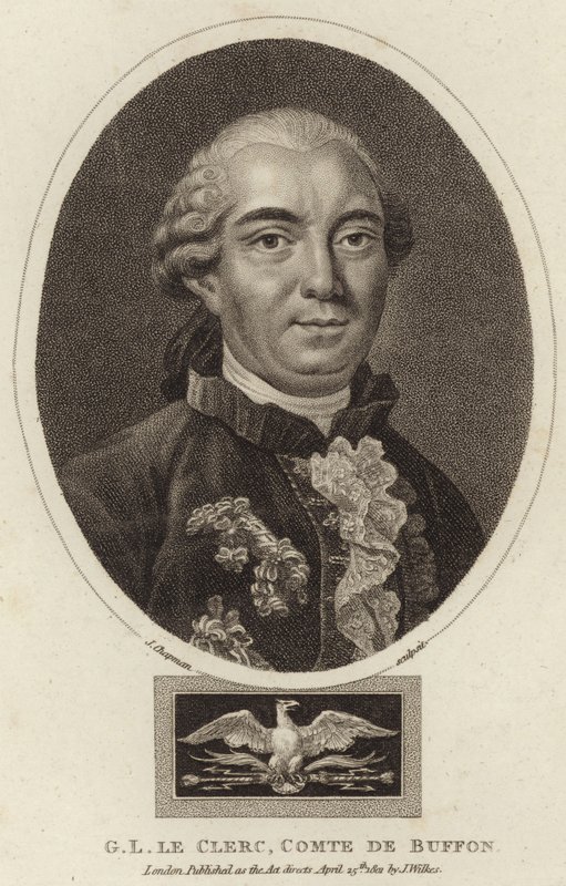 Portrett av Georges-Louis Leclerc, greve av Buffon av English School