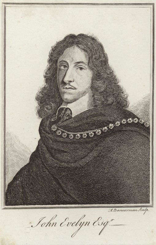 Portrett av John Evelyn av English School
