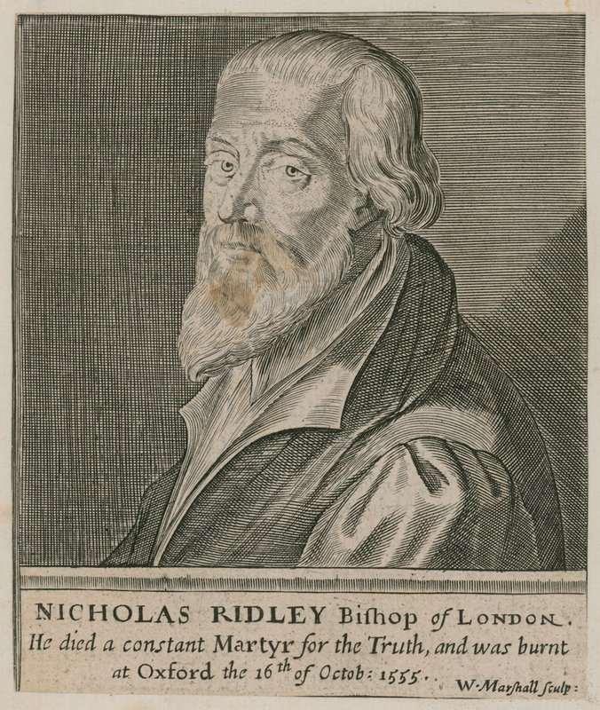 Portrett av Nicholas Ridley av English School