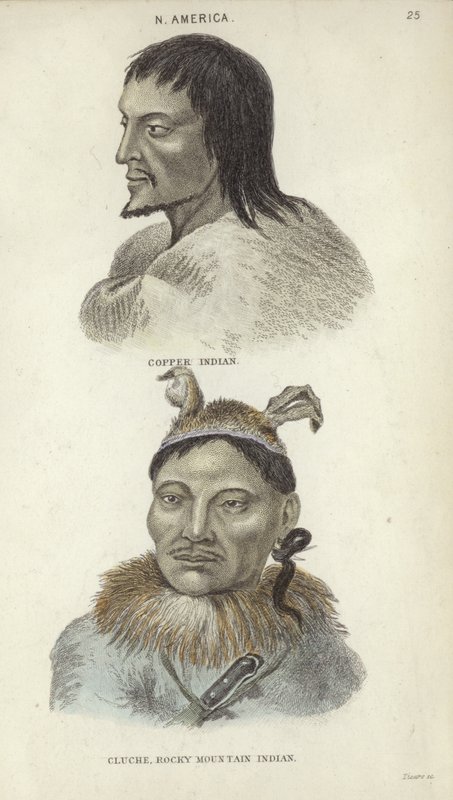 Portretter av en kobberindianer og en Rocky Mountain-indianer (fargegravering) av English School