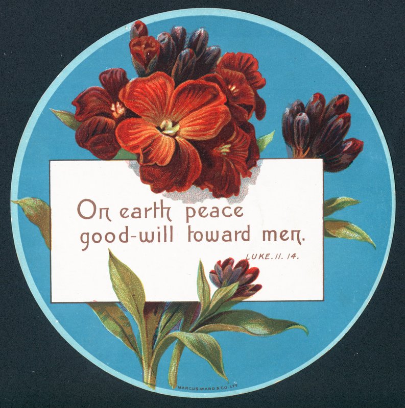 Primroser, julekort (chromolitho) av English School