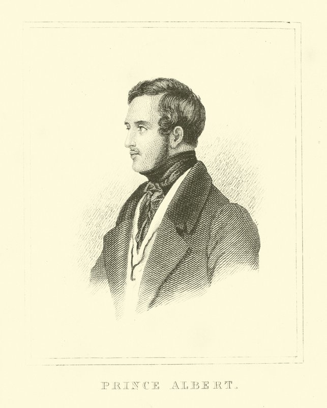Prins Albert av English School