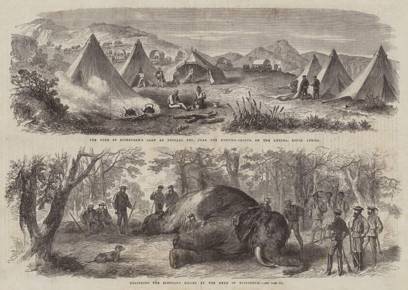 Prins Arthur i Sør-Afrika (gravering) av English School