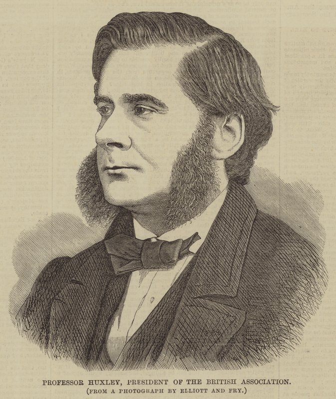 Professor Huxley, president i British Association (gravering) av English School