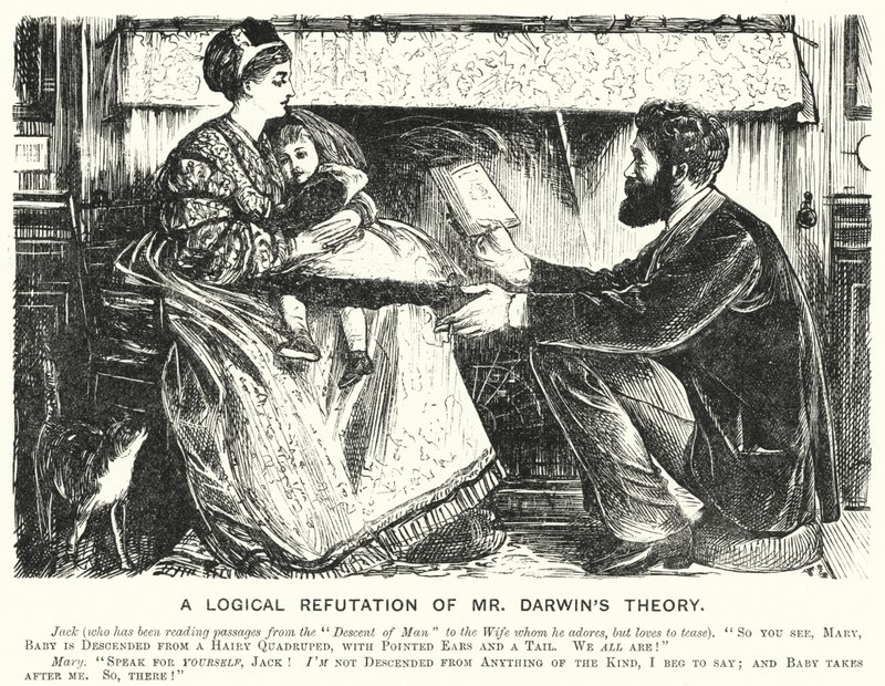 Punch tegneserie: A Logical Refutation of Mr Darwin's Theory (gravering) av English School
