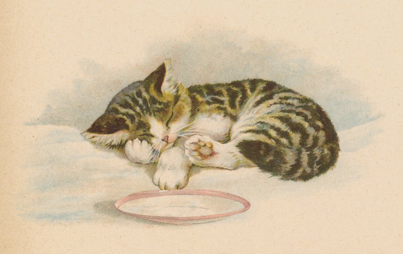 Pussy Cat (chromolitho) av English School