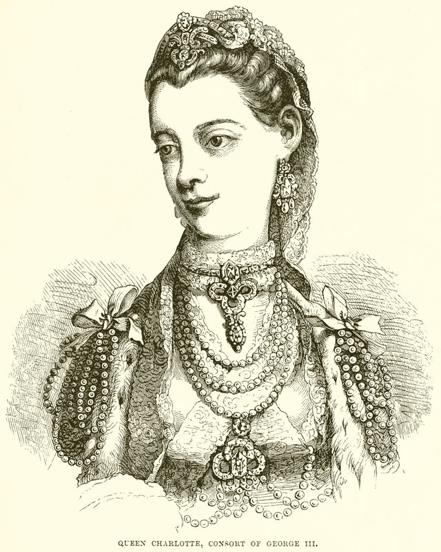 Dronning Charlotte, Conseort av George III av English School