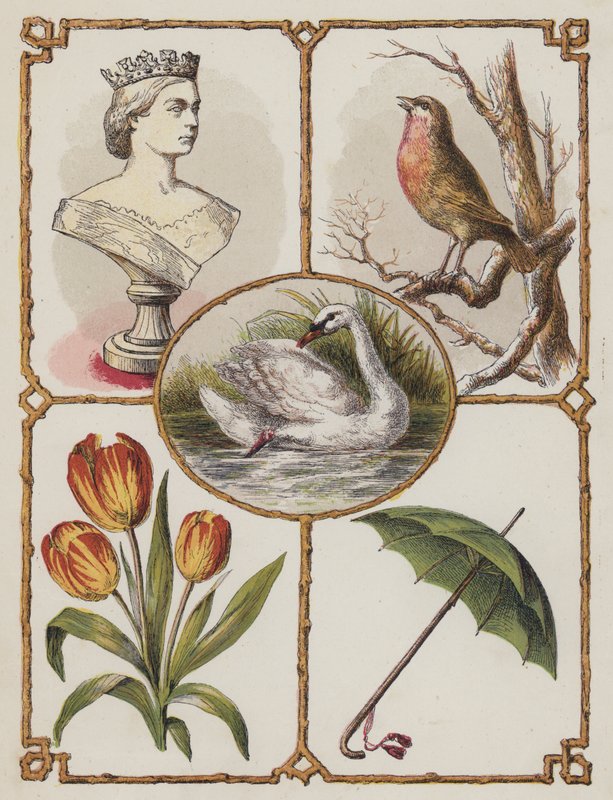 Dronning, Robin, Svane, Tulipan, Paraply (farge litho) av English School
