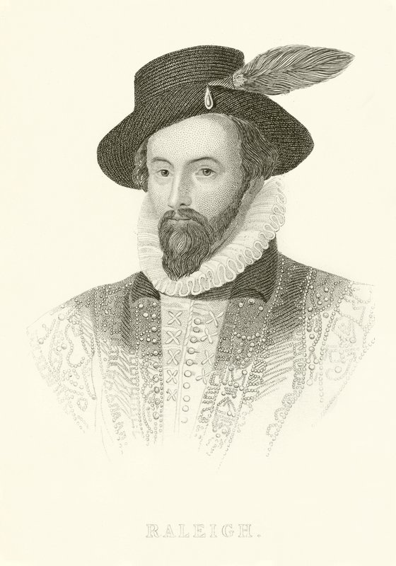 Raleigh av English School