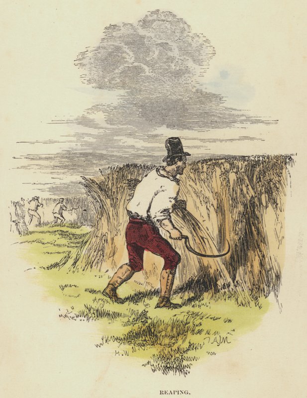Reaping (farget gravering) av English School