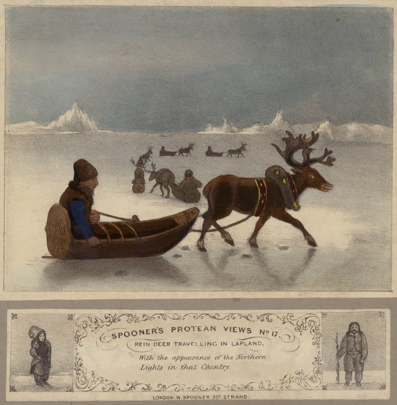 Reinsdyr på reise i Lappland av English School