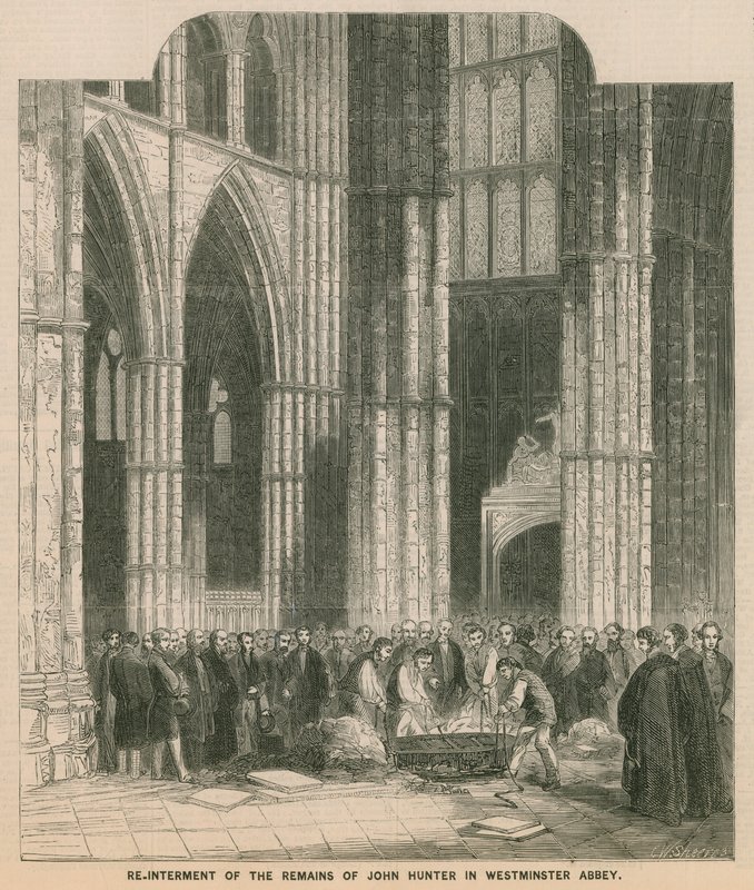 Gjenbegravelse av John Hunters gjenstår i Westminster Abbey av English School