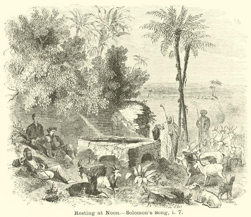 Restering at Noon, Solomons Song, i, 7 av English School
