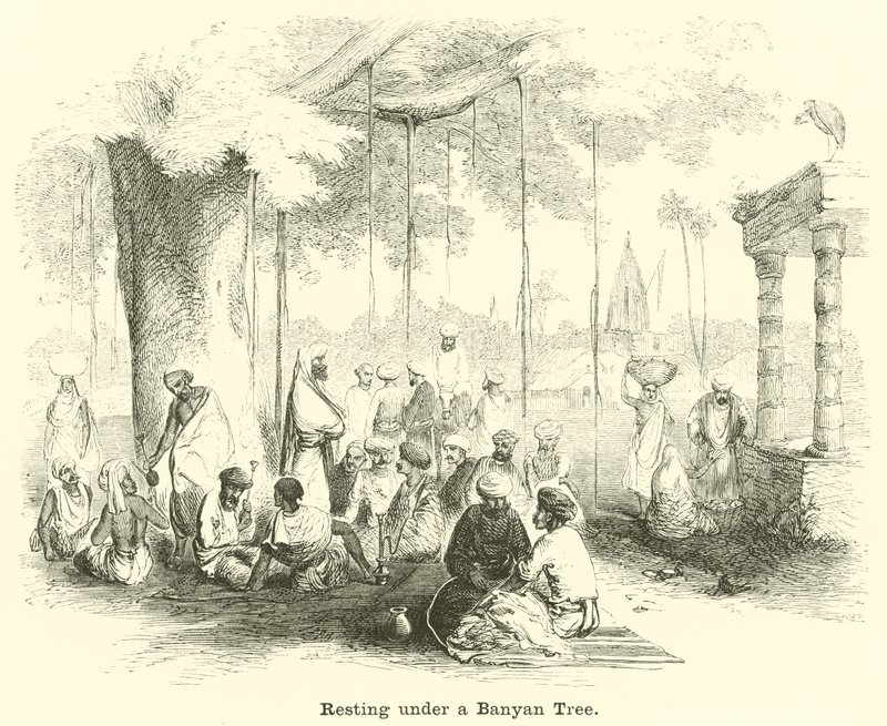 Hviler under et Banyan-tre av English School