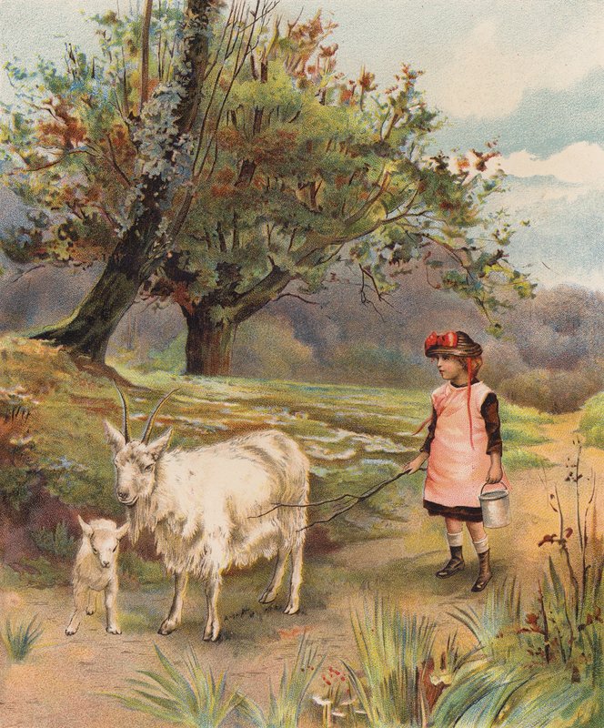 Hjemreise (chromolitho) av English School