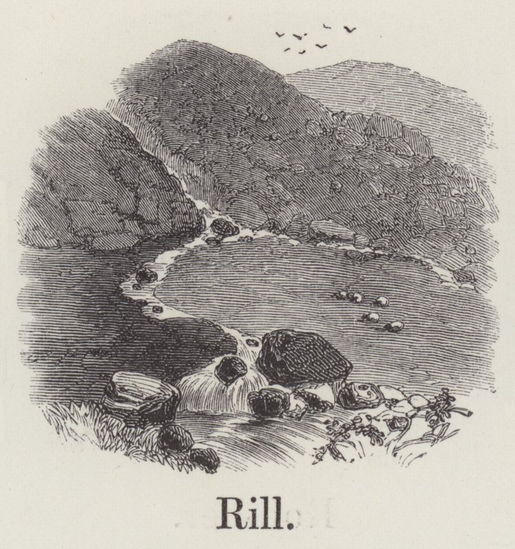 Rill (gravering) av English School