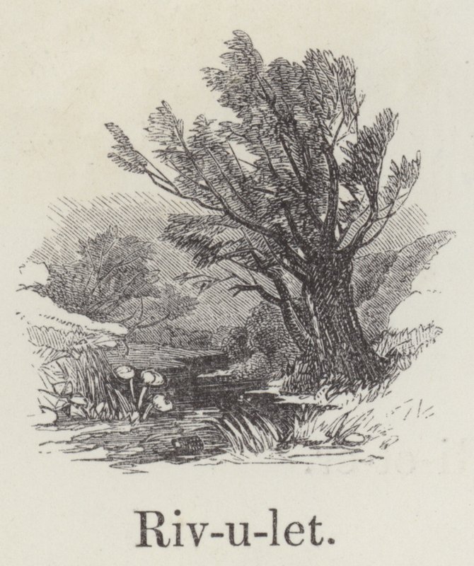 Rivulet (gravering) av English School