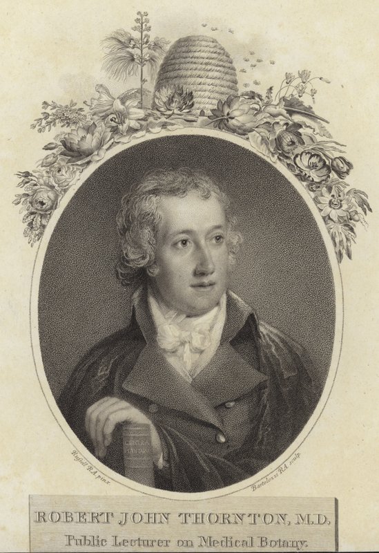 Robert John Thornton av English School