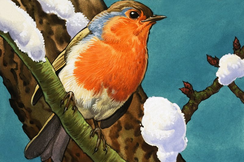 Robin av English School