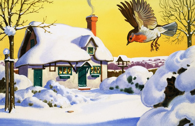 Robin flyr i snøen av English School