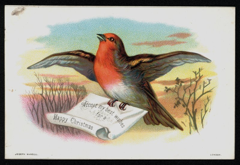 Robin med julemelding, gratulasjonskort. (chromolitho) av English School