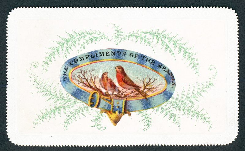 Robins sitter i oval med bregner surround, julekort av English School