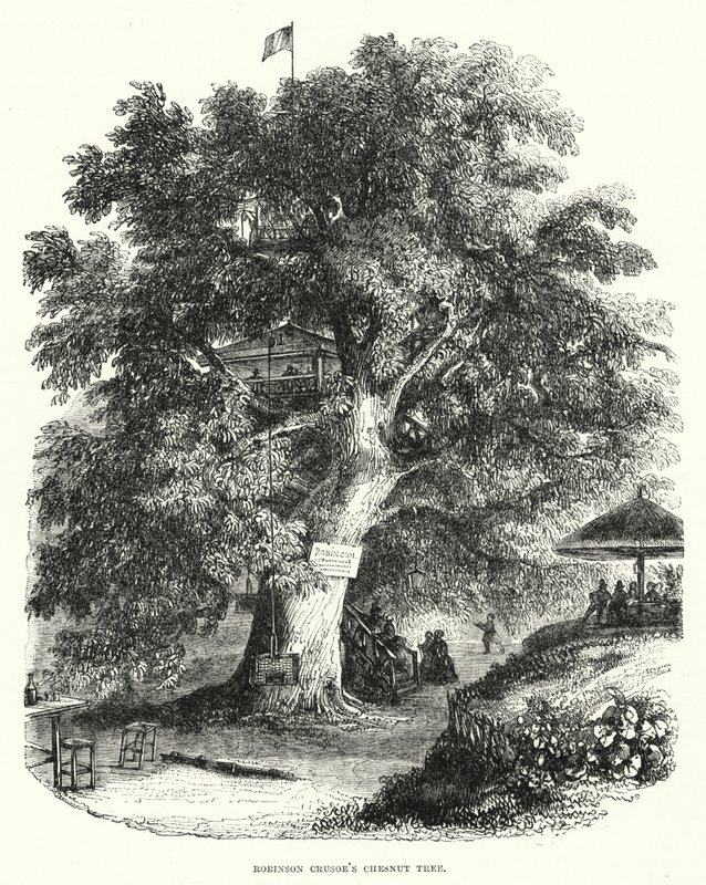 Robinson Crusoes kastanjetre (gravering) av English School