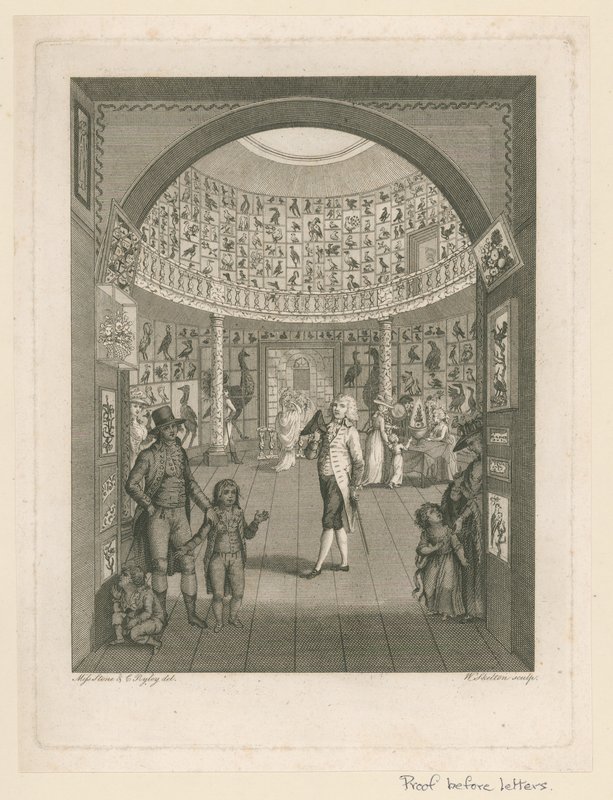 Rotunde på Leverian-museet av English School
