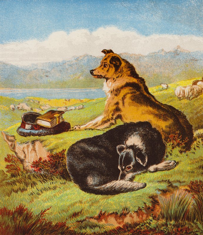 Rover og Hector (fargelitografi) av English School