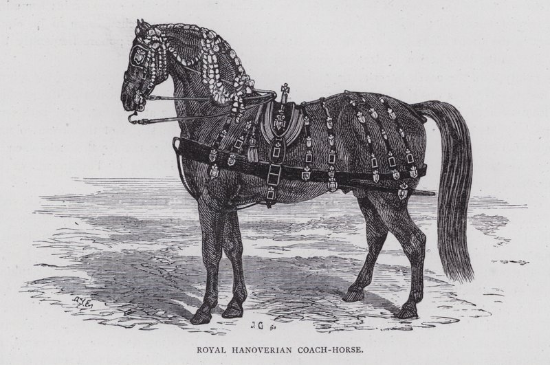 Royal Hannoverian Coach-Horse (gravering) av English School