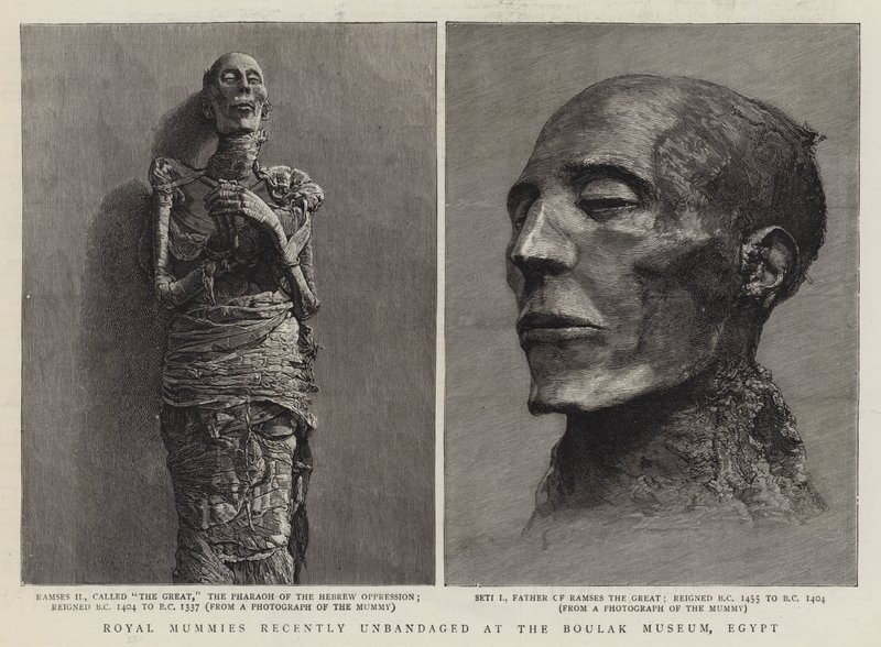 Royal Mummies nylig ubandasjert på Boulak Museum, Egypt (gravering) av English School