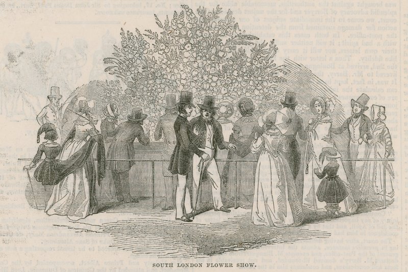 Royal South London Horticultural Society av English School