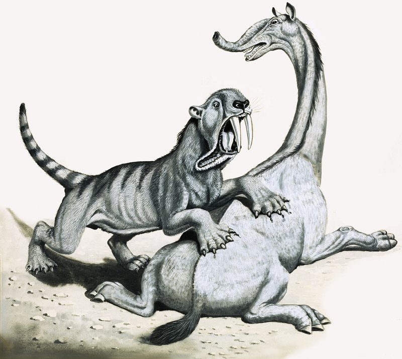 Sabeltann tiger angriper uidentifisert forhistorisk skapning av English School