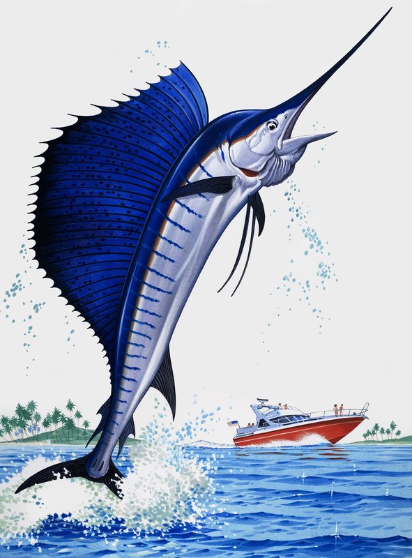 Seilfisk av English School