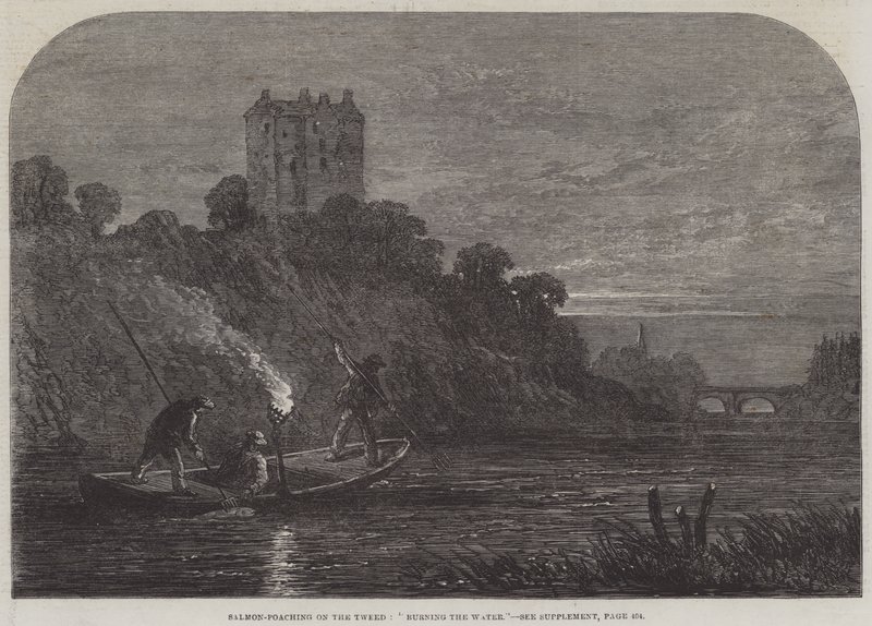 Salmon-Poaching on the Tweed, "Burning the Water" (gravering) av English School