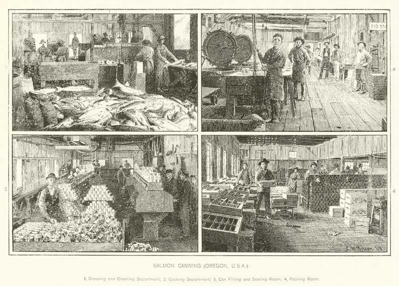 Salmon Canning, Oregon, USA av English School
