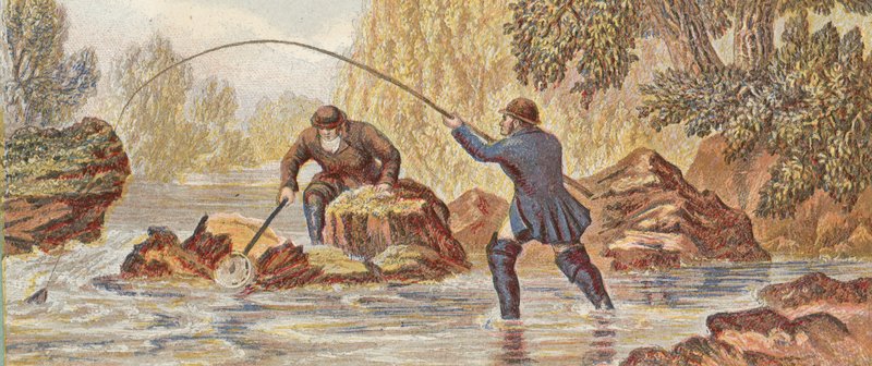 Laksefiske (farge litho) av English School