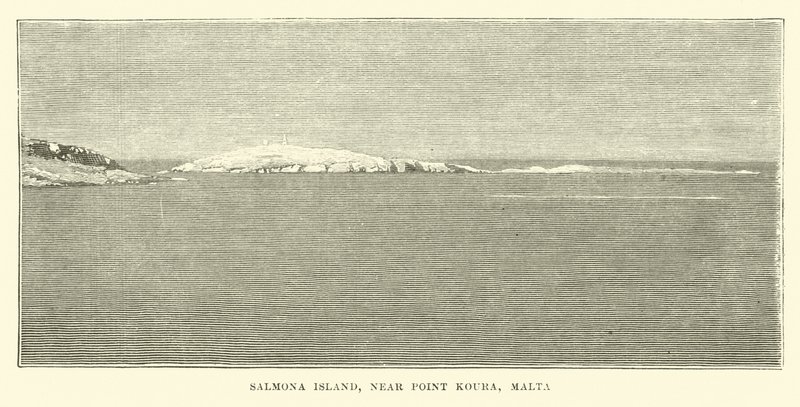Salmona Island, nær Point Koura, Malta av English School
