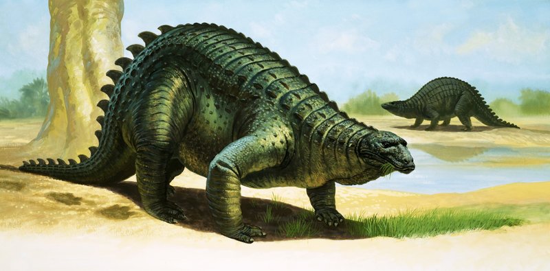 Scelidosaurus av English School